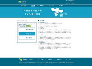 網(wǎng)站建設(shè)